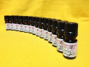 画像1: ローズマリーフレンチエッセンシャルオイル/RMF　10ml (1)